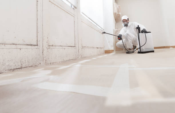 24/7 Emergency Attic Mold Remediation experts in Highwood, IL